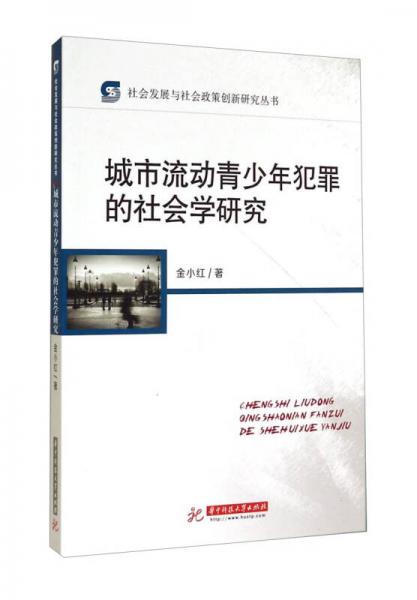 社會(huì)發(fā)展與社會(huì)政策創(chuàng)新研究叢書：城市流動(dòng)青少年犯罪的社會(huì)學(xué)研究