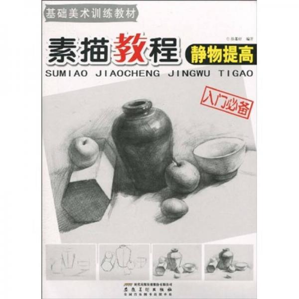 基礎(chǔ)美術(shù)訓(xùn)練教材·素描教程：靜物提高