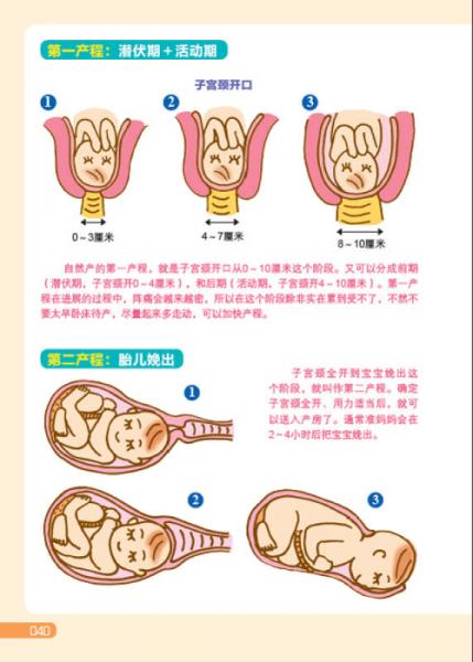 妇产科女医生怀孕记