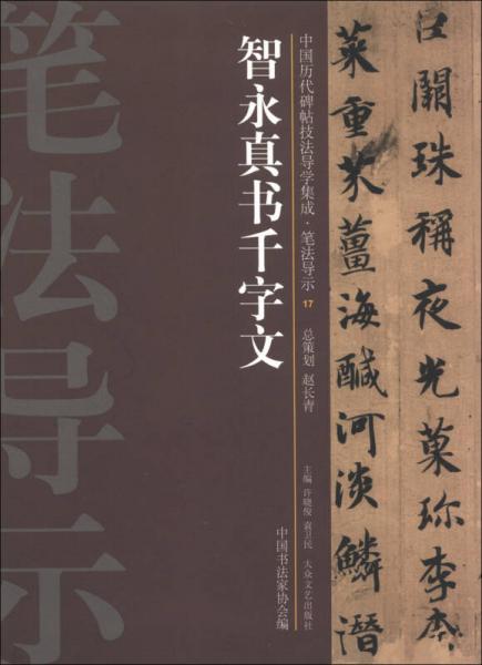 中國(guó)歷代碑帖技法導(dǎo)學(xué)集成·筆法導(dǎo)示（17）：智永真書(shū)千字文