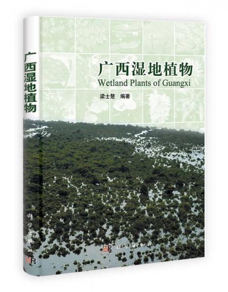 廣西濕地植物