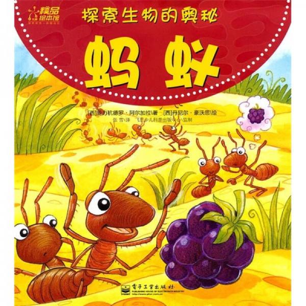 探索生物的奧秘：螞蟻