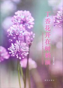 丁香花開(kāi)在樹(shù)梢頂