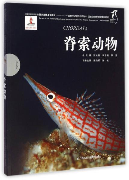 脊索动物/中国野生动物生态保护 国家动物博物馆精品研究