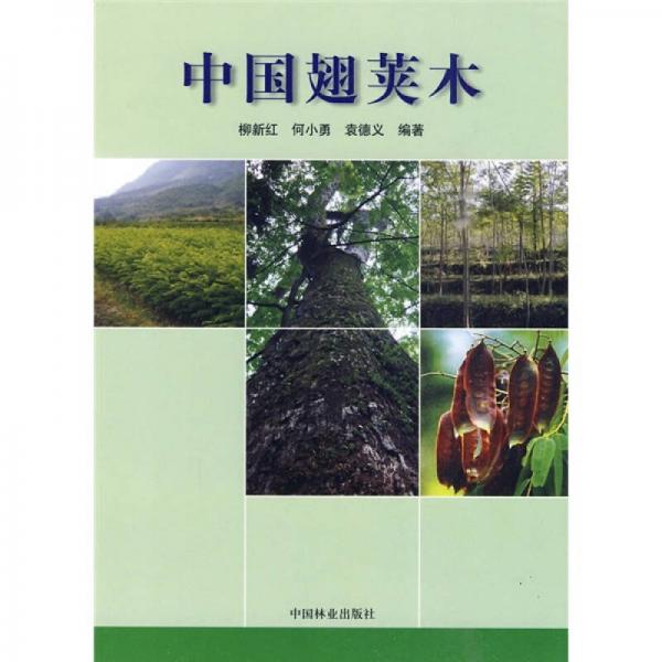 中国翅荚木