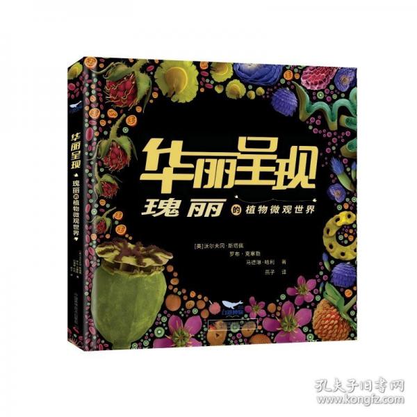 華麗呈現(xiàn) 瑰麗的植物微觀世界