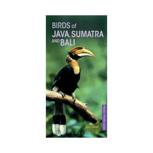 Birds of Java, Sumatra and Bali
