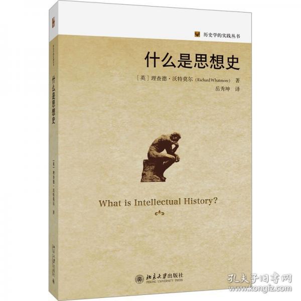 什么是思想史 历史学的实践丛书