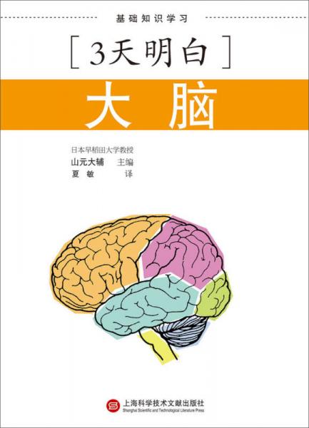 3天明白：大腦