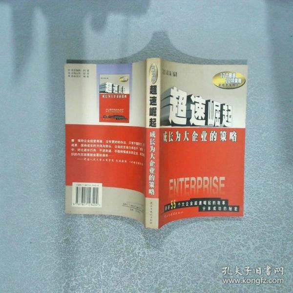 超速崛起:成長(zhǎng)為大企業(yè)的策略