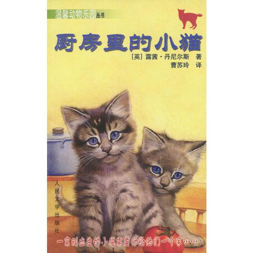 廚房里的小貓