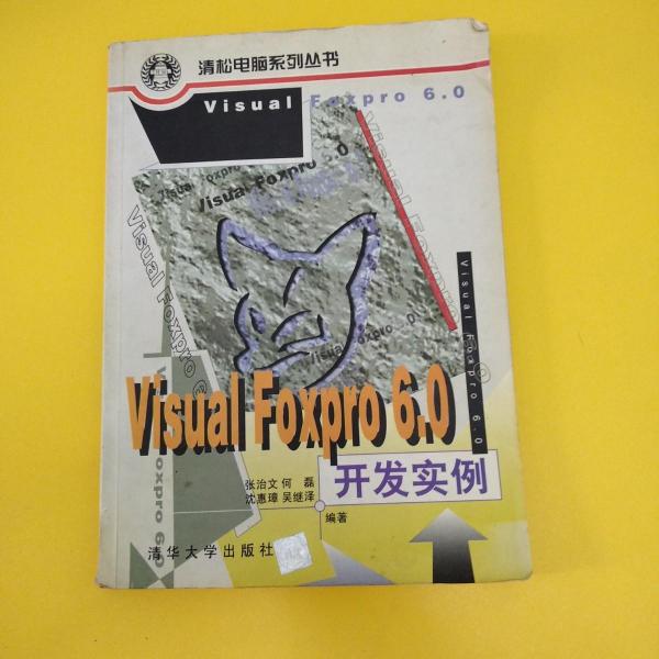 VISUAL FOXPRO 6.0开发实例