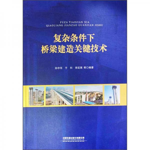 復(fù)雜條件下橋梁建造關(guān)鍵技術(shù)