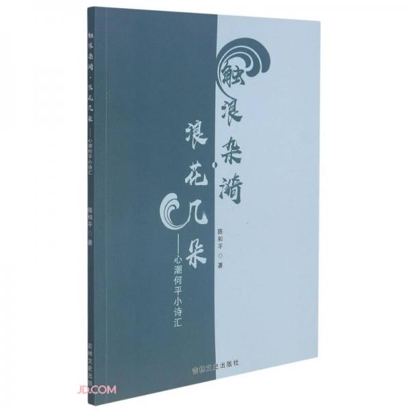 觸浪雜漪浪花幾朵--心潮何平小詩匯