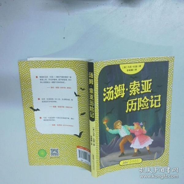 汤姆 索亚历险记
