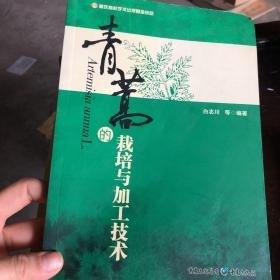 青蒿的栽培與加工技術