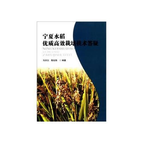 清真在我身邊