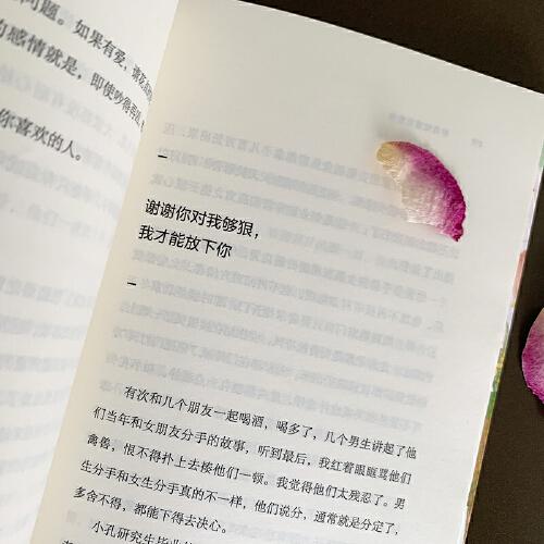 岁月知道我爱你：多名自媒体作者倾情执笔，42篇治愈系情感爆文可盐可甜，青春的名义致敬岁月 愿你向上生长不负少年雄心，愿你全力以赴且满载而归。