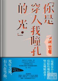 你是穿入我瞳孔的光