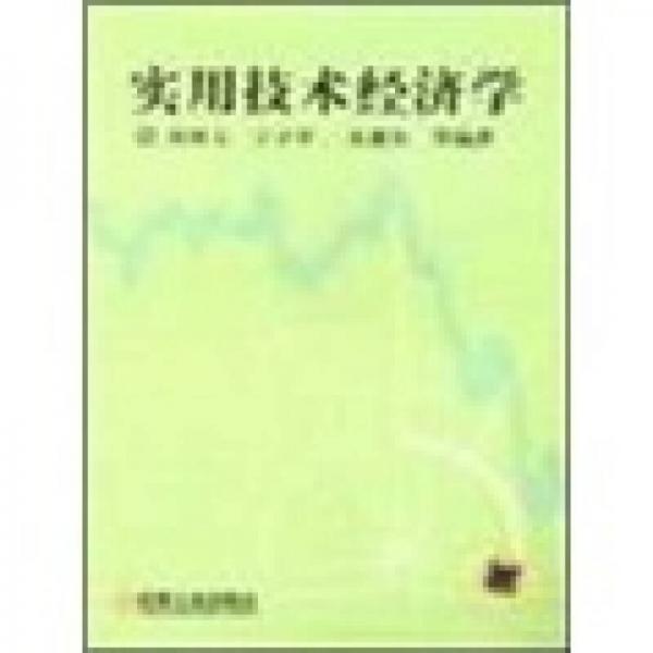 實用技術(shù)經(jīng)濟學