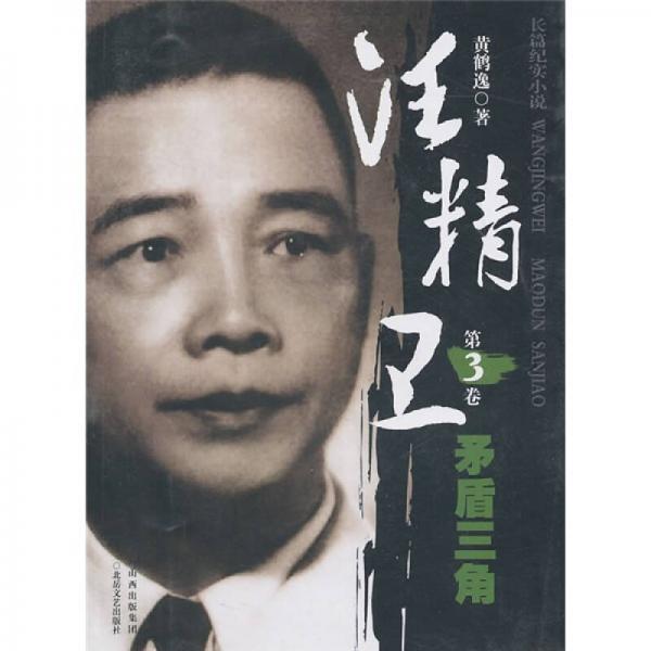 汪精衛(wèi)（第3卷）：矛盾三角