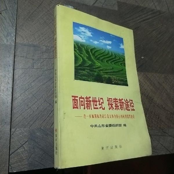 面向新世纪 探索新途径:进一步加强和改进以党支部为核心的村级组织建设