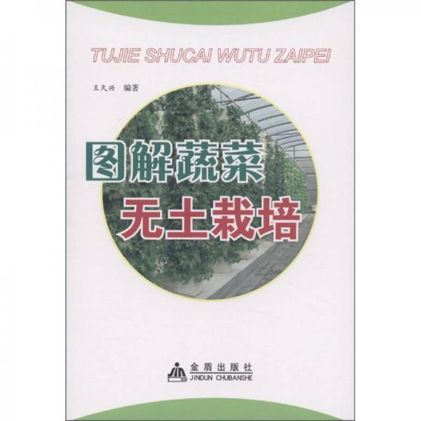 圖解蔬菜無土栽培
