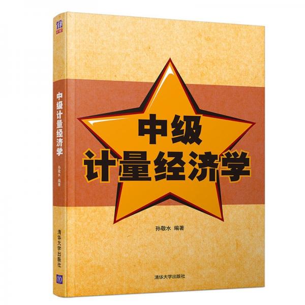 中級(jí)計(jì)量經(jīng)濟(jì)學(xué)
