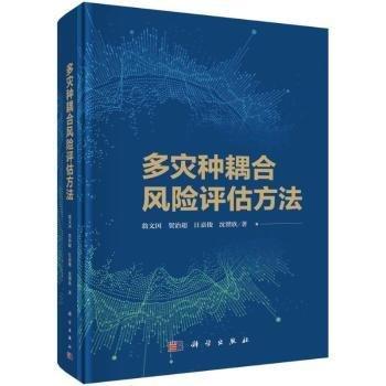 多災(zāi)種耦合風險評估方法