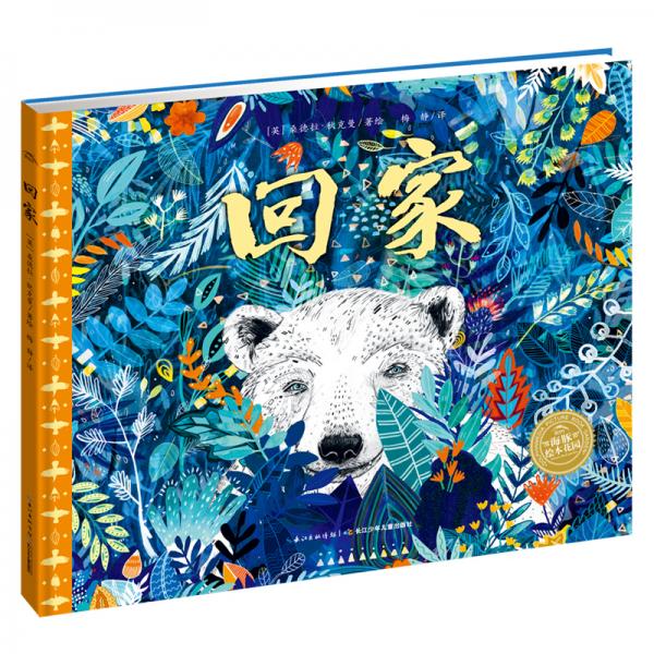 海豚繪本花園·科普系列·國際大獎繪本：回家（給孩子的藝術啟蒙，生命教育與環(huán)保啟蒙繪本，精裝）