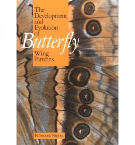 The Development and Evolution of Butterfly Wing