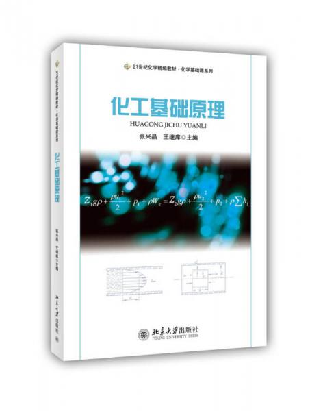 化工基礎(chǔ)原理/21世紀(jì)化學(xué)精編教材·化學(xué)基礎(chǔ)課系列