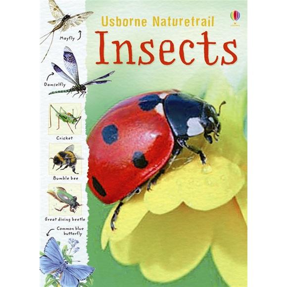Insects
