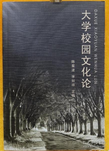 大學(xué)校園文化論