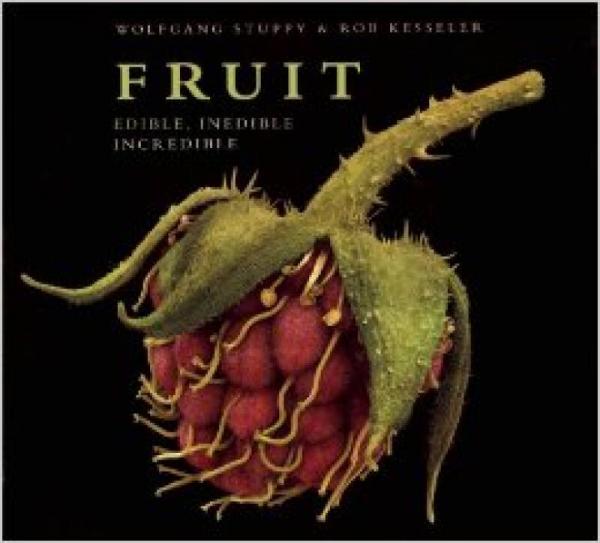 Fruit