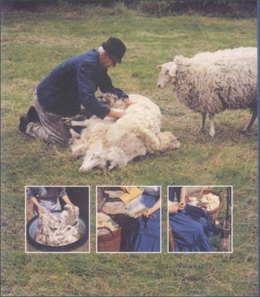 孩子们最想知道什么·奶牛是怎么产奶的？：趣味横生的农场知识