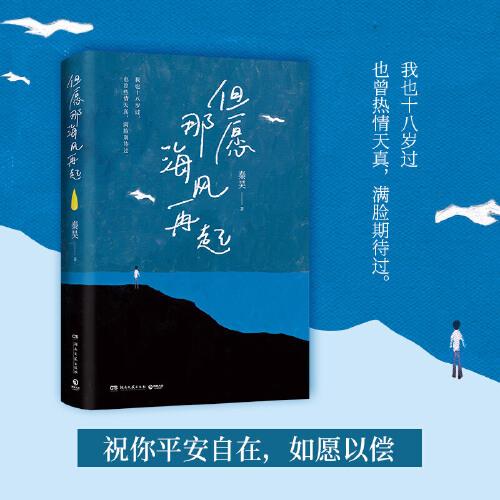 但愿那海風(fēng)再起