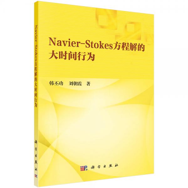 Navier-Stokes方程解的大時(shí)間行為