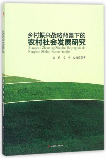 乡村振兴战略背景下的农村社会发展研究