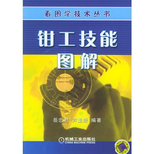 鉗工技能圖解——看圖學(xué)技術(shù)叢書