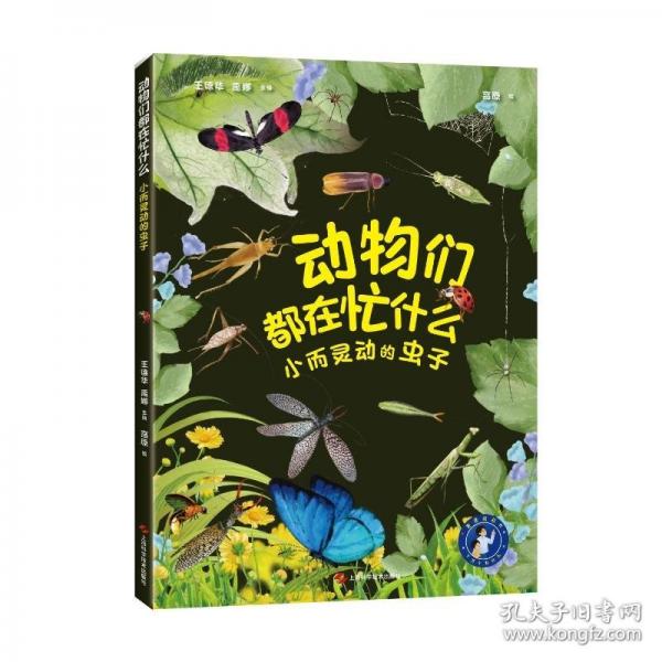 動物們都在忙什么.小而靈動的蟲子