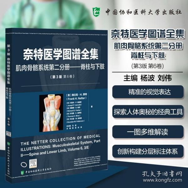 奈特医学图谱全集:肌肉骨骼系统第二分册——脊柱与下肢