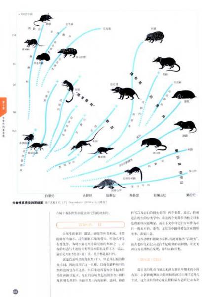 快灭绝的动物 名单图片