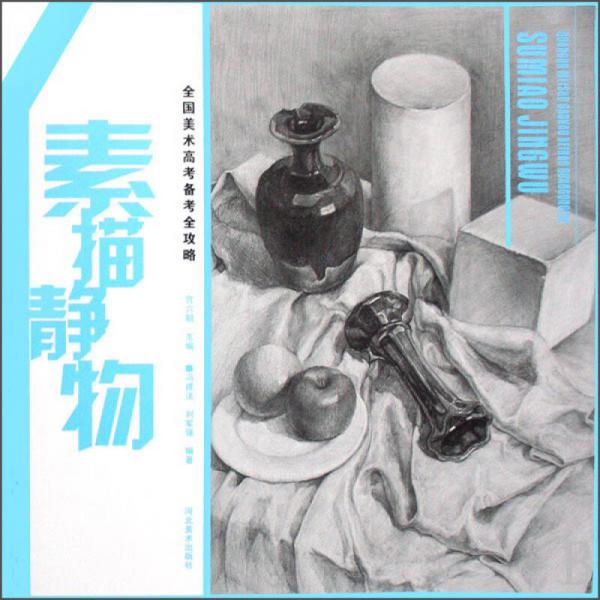 全國美術(shù)高考備考全攻略：素描靜物