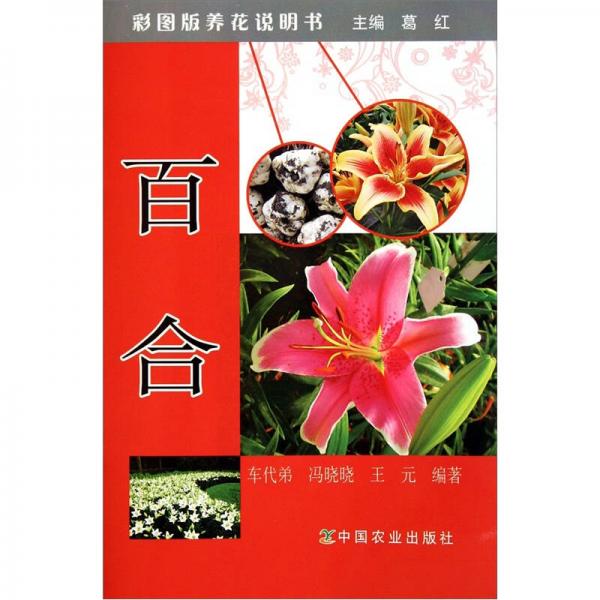 百合