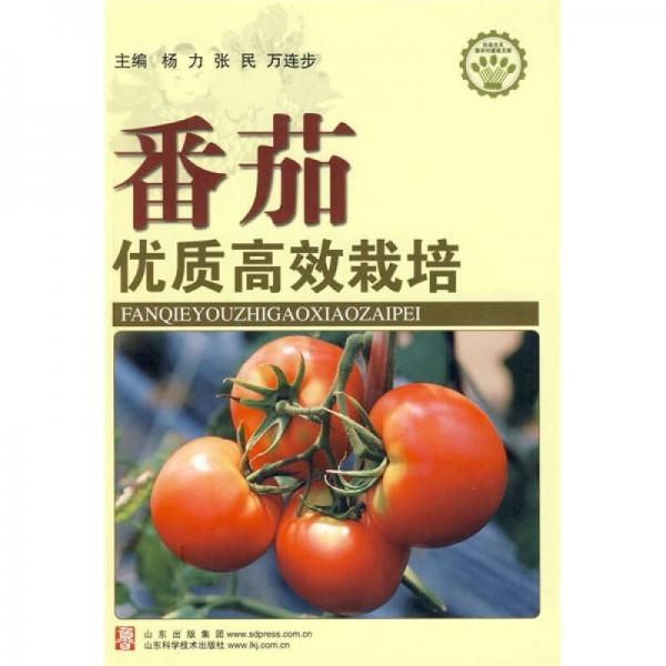 番茄优质高效栽培