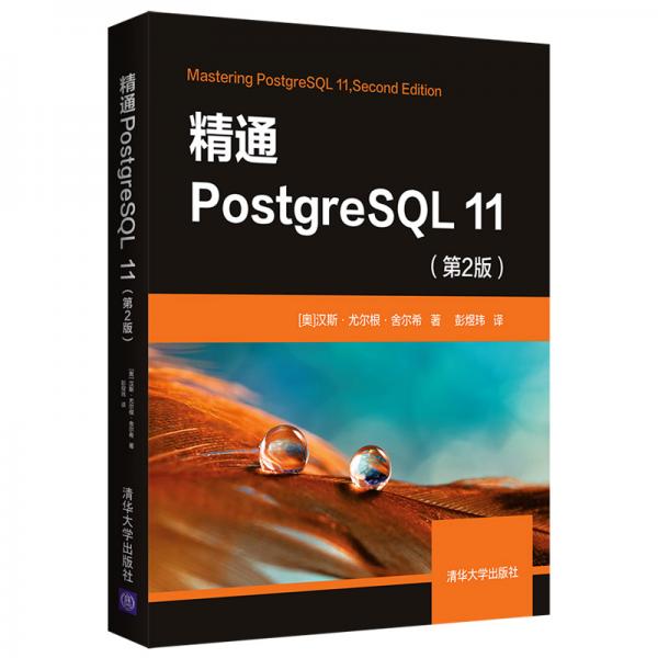 精通PostgreSQL11（第2版）