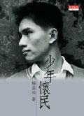 少年懷民