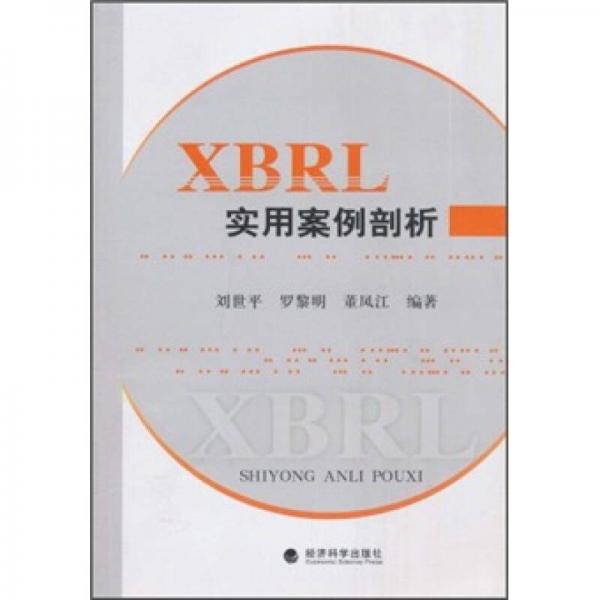 XBRL实用案例剖析