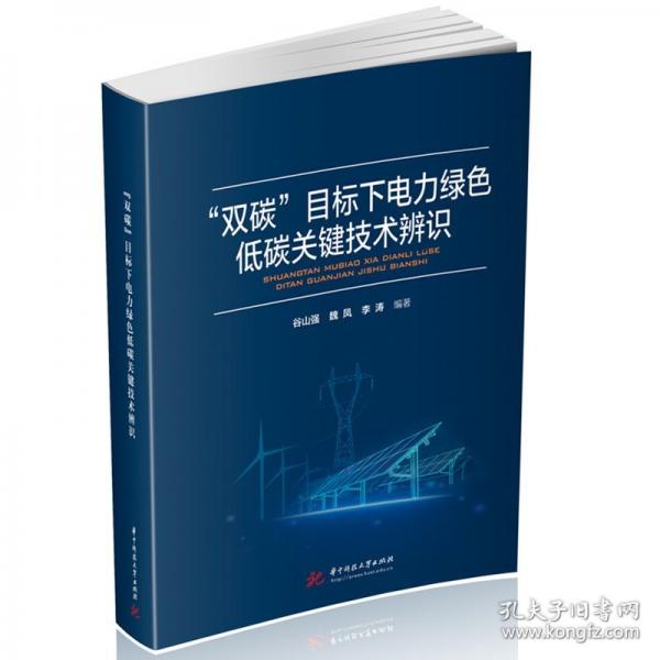 “雙碳”目標(biāo)下電力綠色低碳關(guān)鍵技術(shù)辨識(shí)